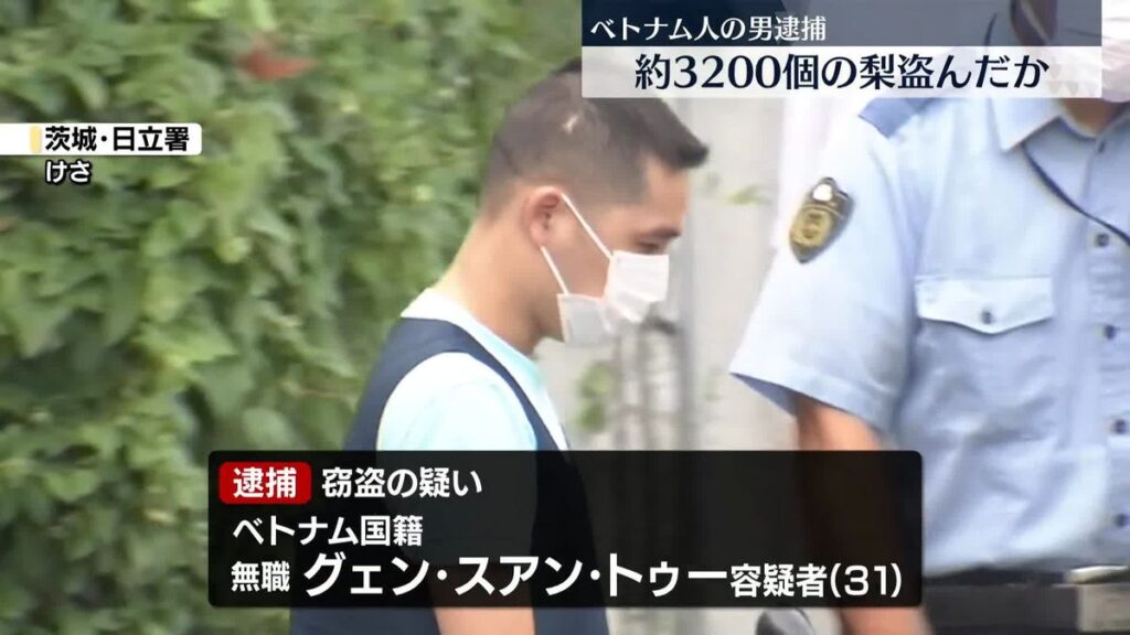 再）【事件】約3200個の梨を盗んだか、ベトナム人の男逮捕　茨城